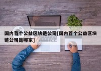 国内首个公益区块链公司[国内首个公益区块链公司是哪家]